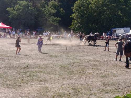IMG_20260808_153452